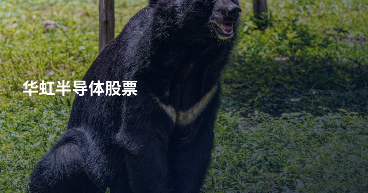 华虹半导体股票