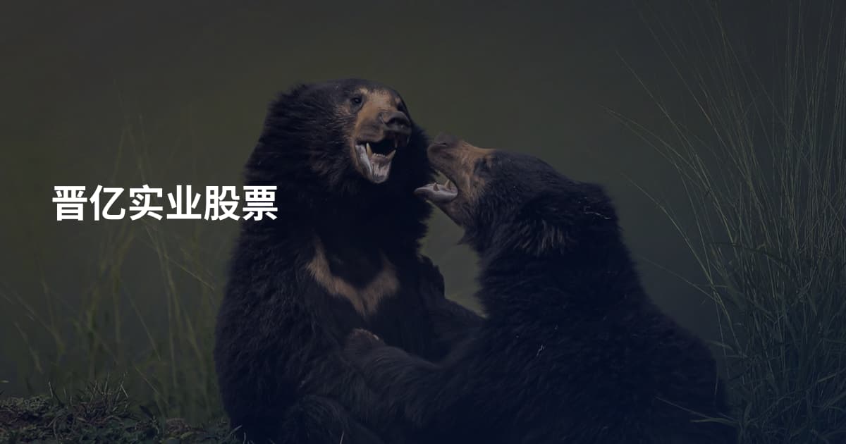 晋亿实业股票