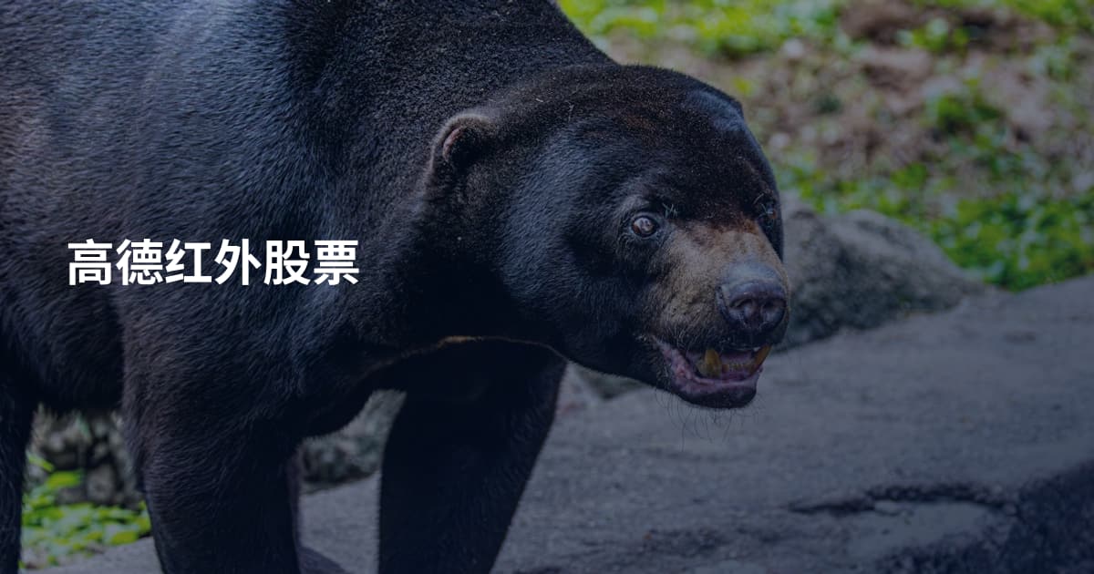 高德红外股票