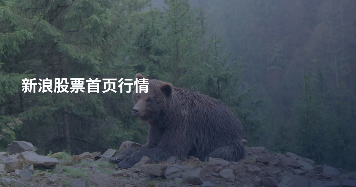 新浪股票首页行情