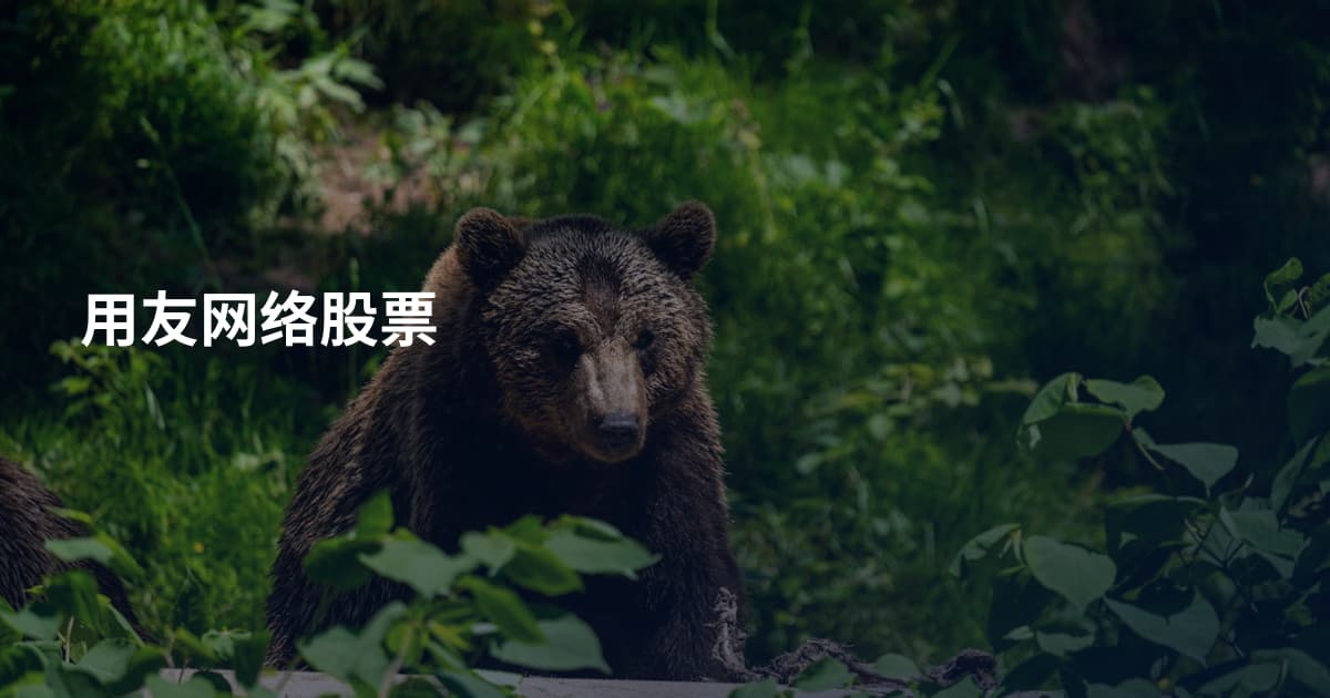 用友网络股票