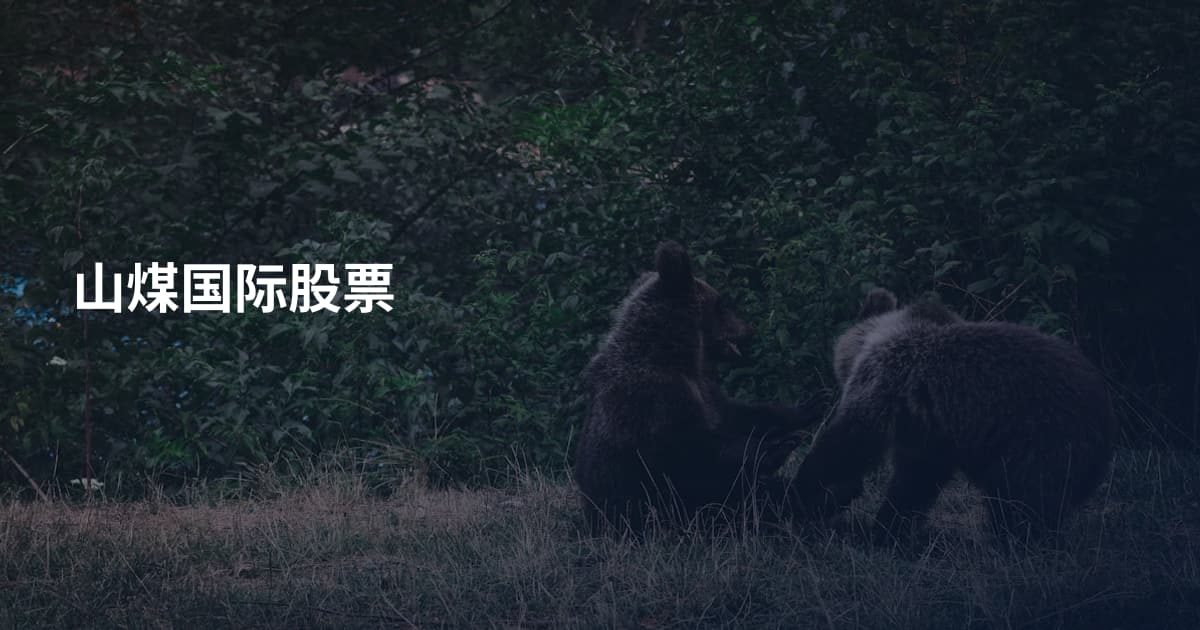 山煤国际股票