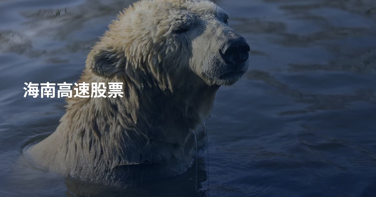海南高速股票