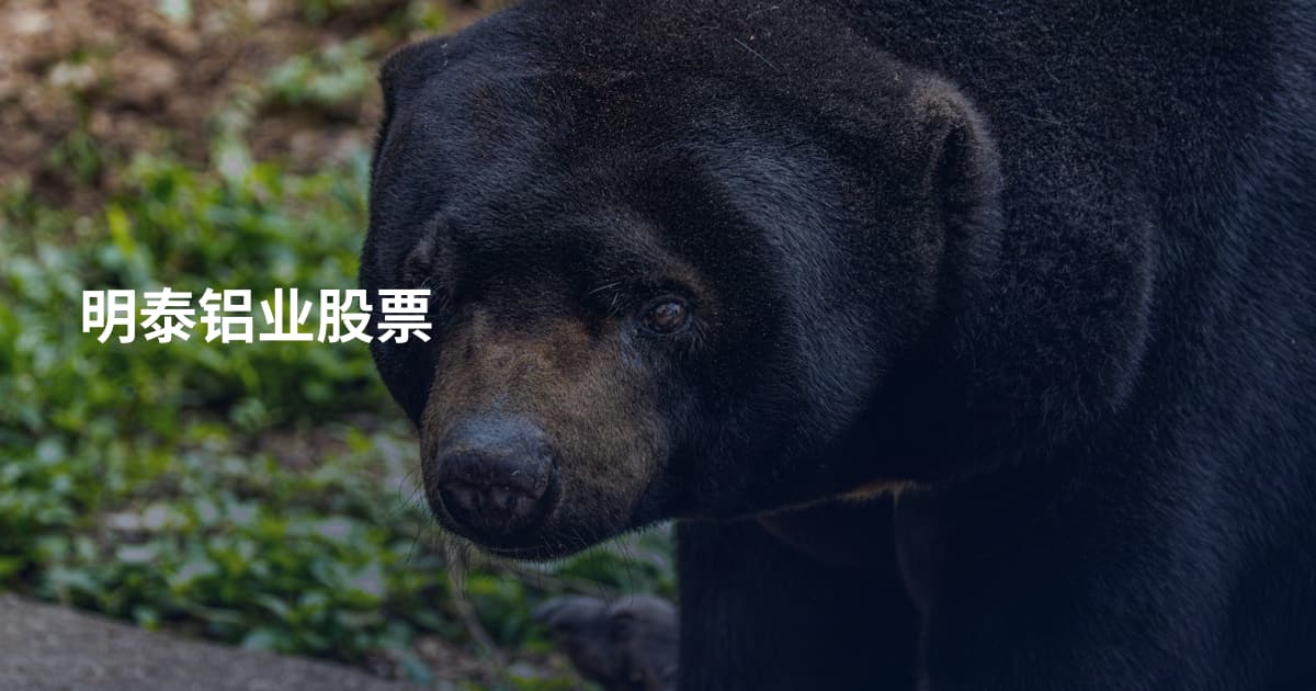 明泰铝业股票