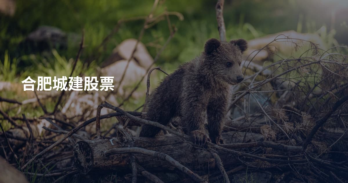 合肥城建股票