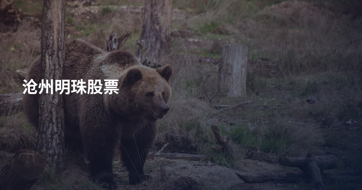 沧州明珠股票