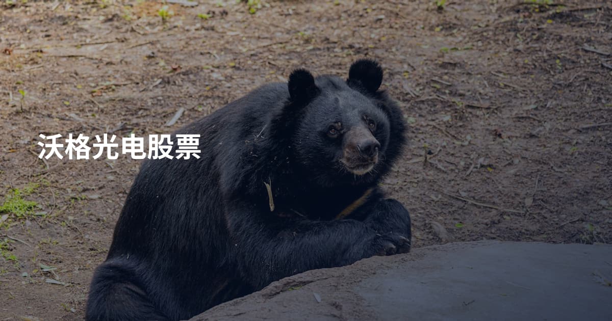 沃格光电股票
