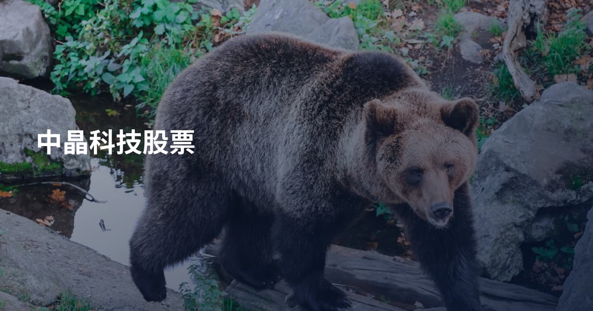 中晶科技股票