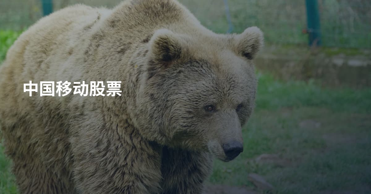 中国移动股票