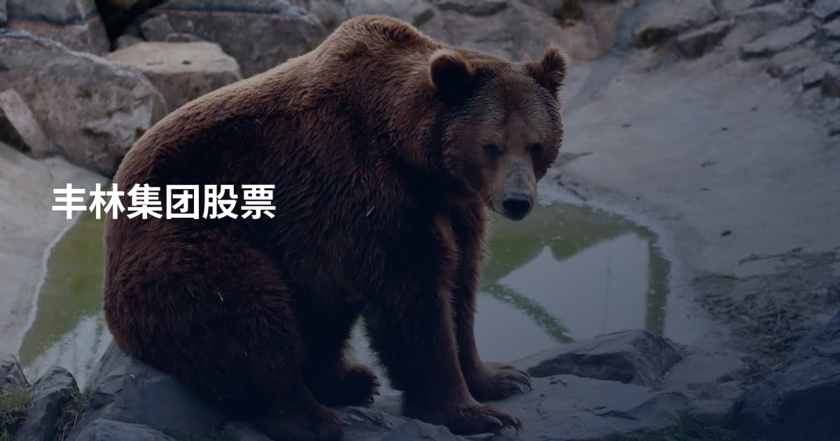 丰林集团股票