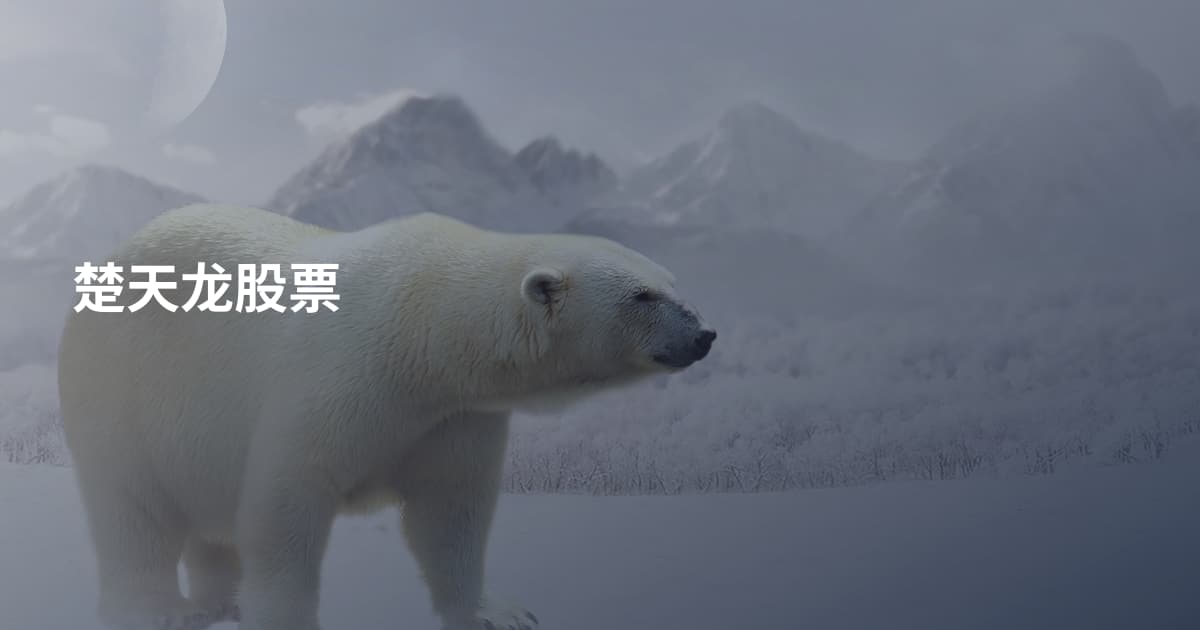楚天龙股票