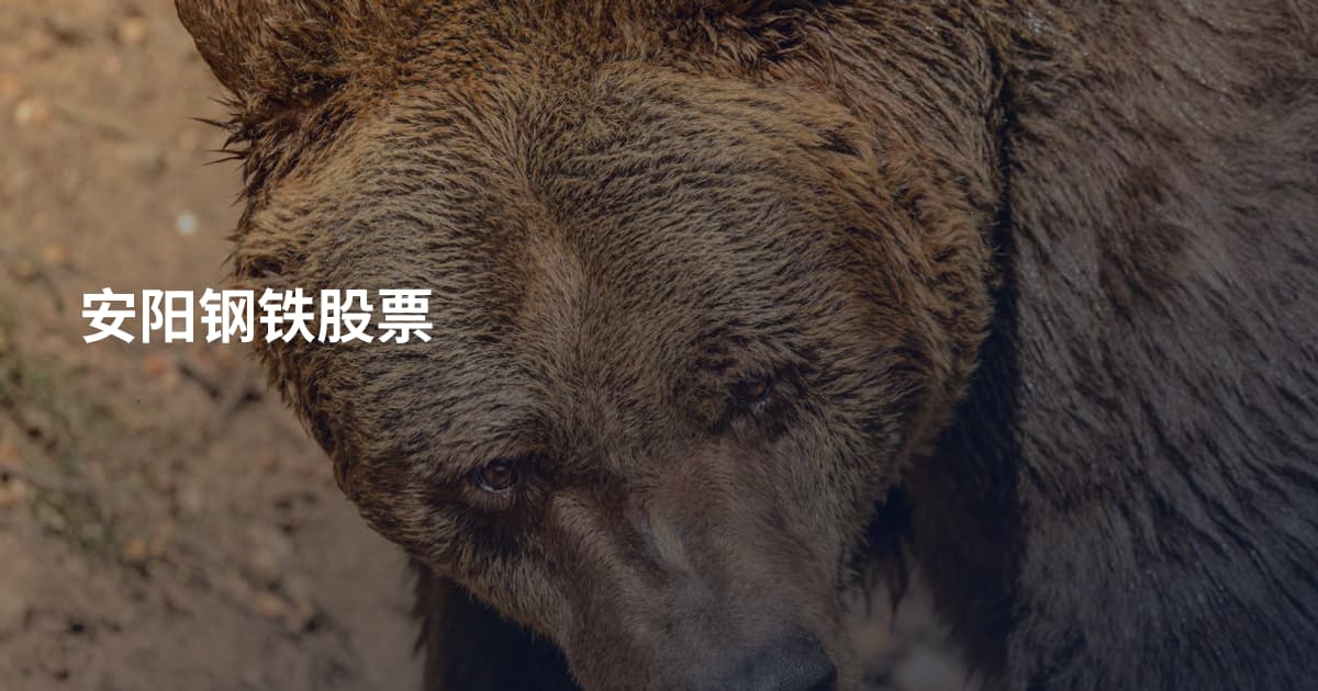 安阳钢铁股票