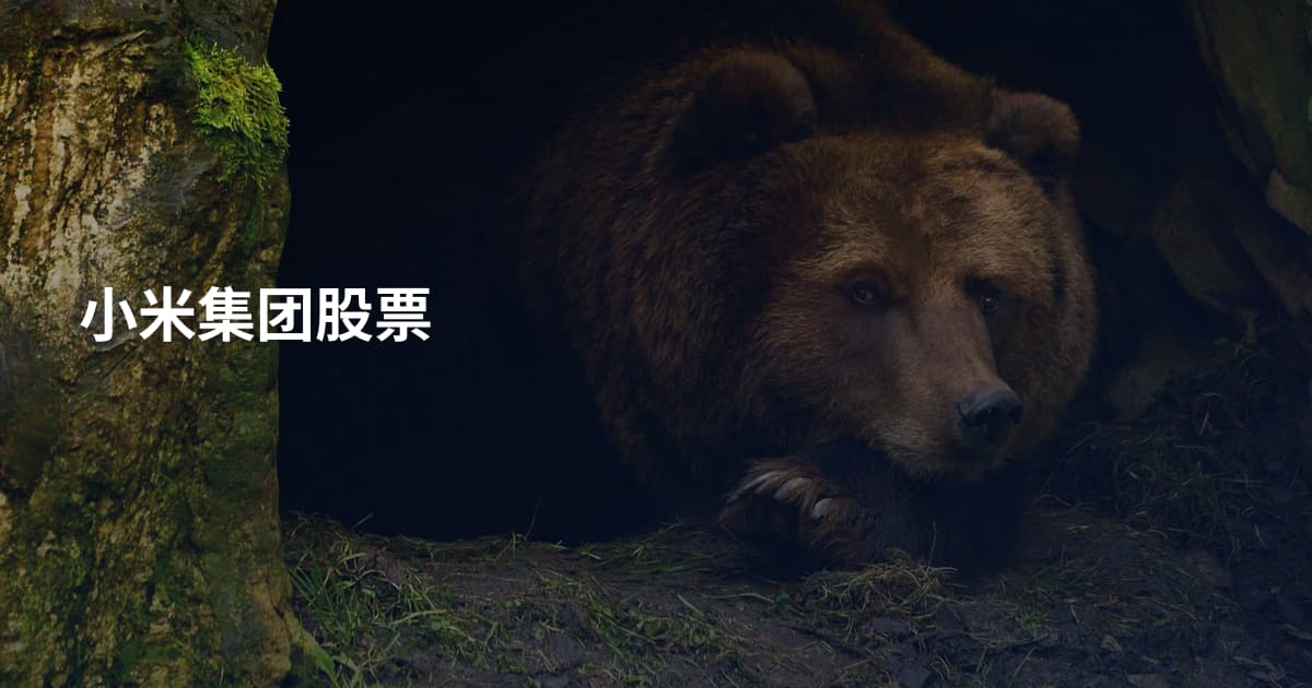 小米集团股票