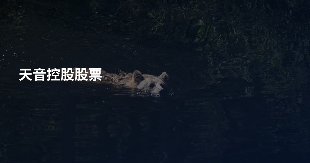 天音控股股票