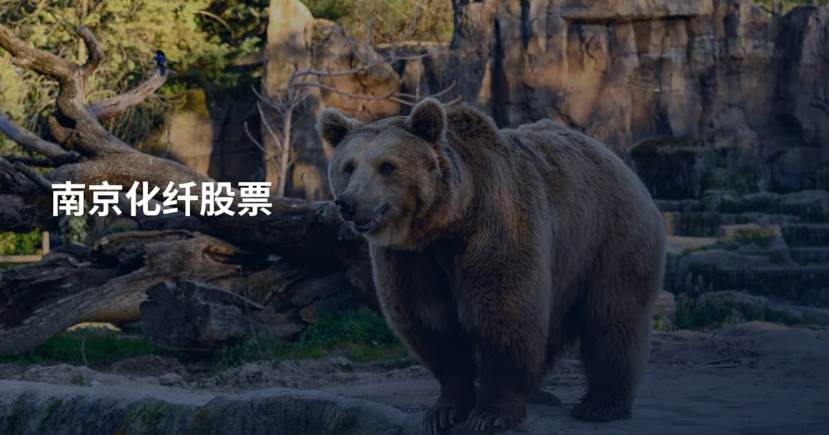 南京化纤股票