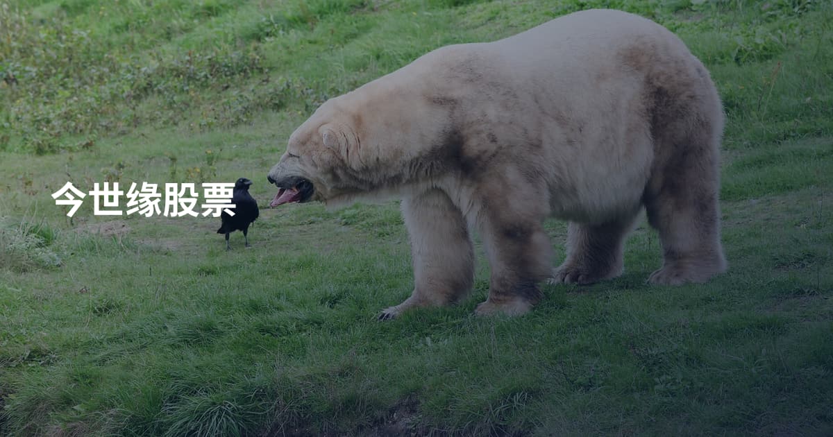 今世缘股票
