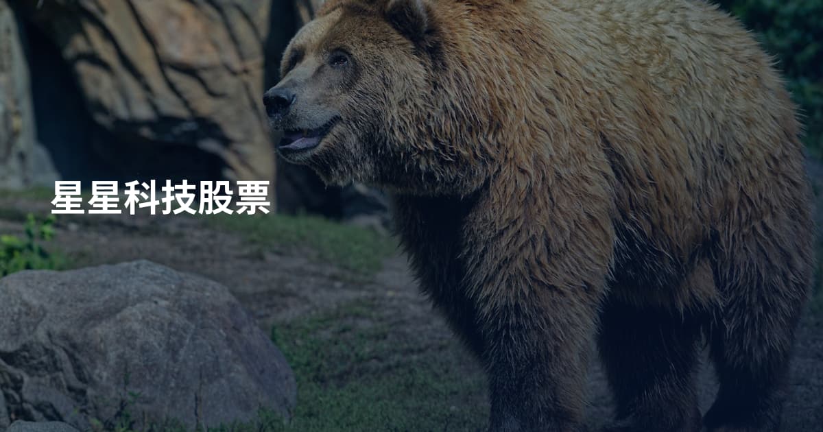 星星科技股票