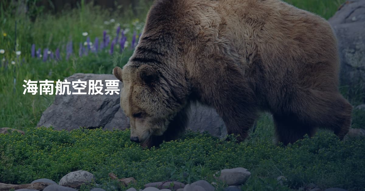 海南航空股票