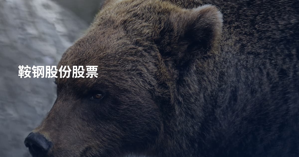 鞍钢股份股票