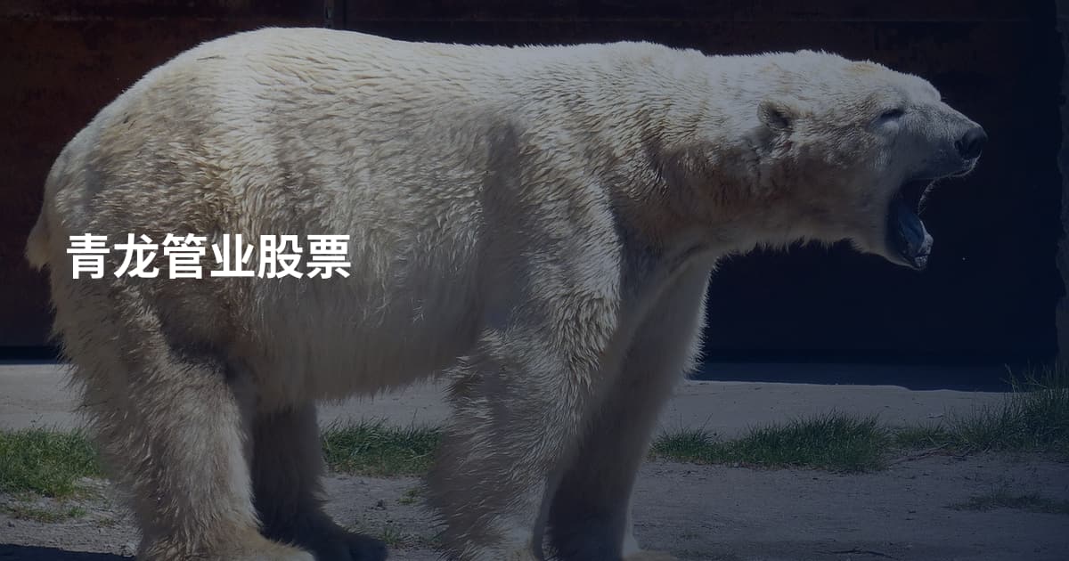 青龙管业股票