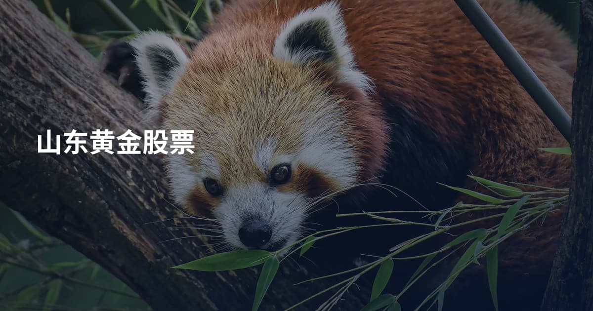 山东黄金股票
