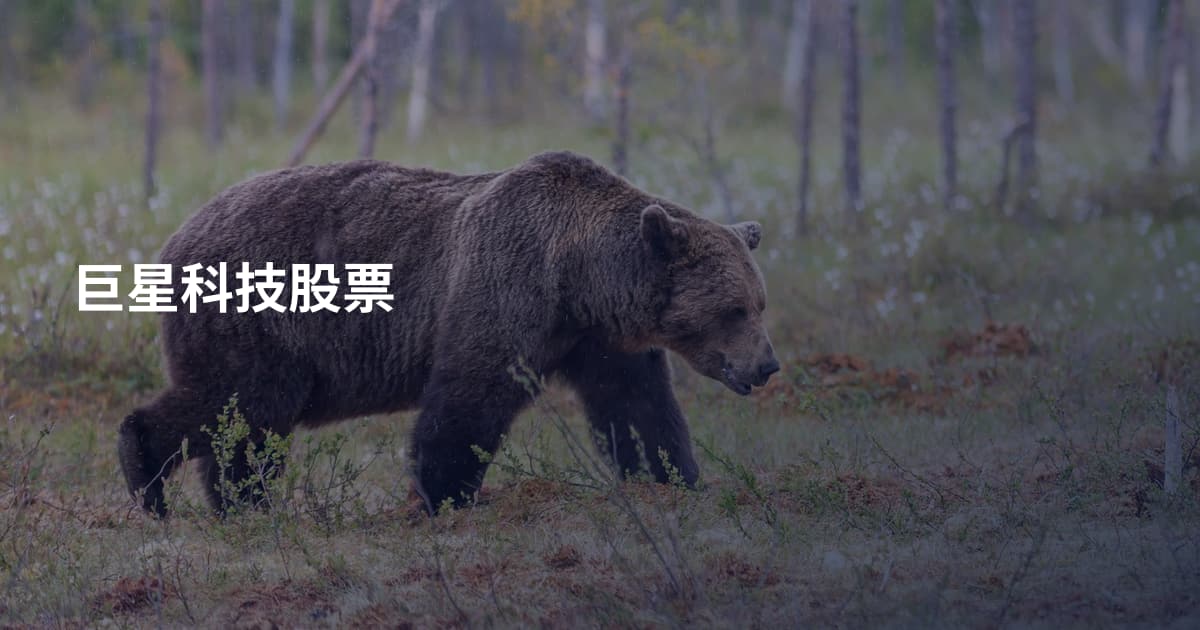 巨星科技股票