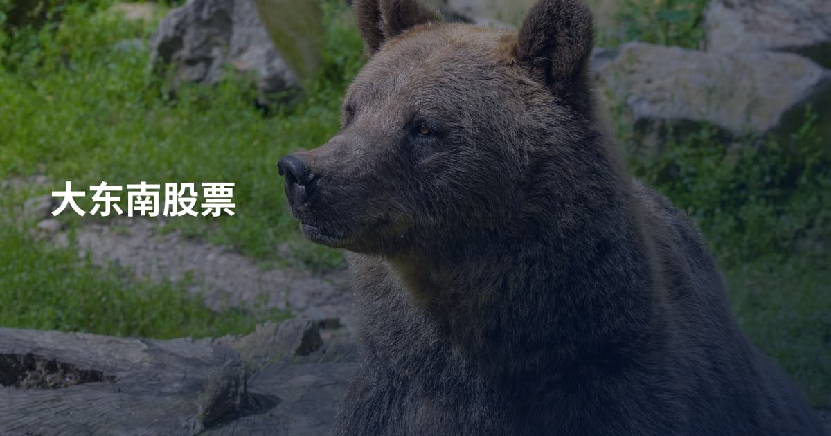 大东南股票