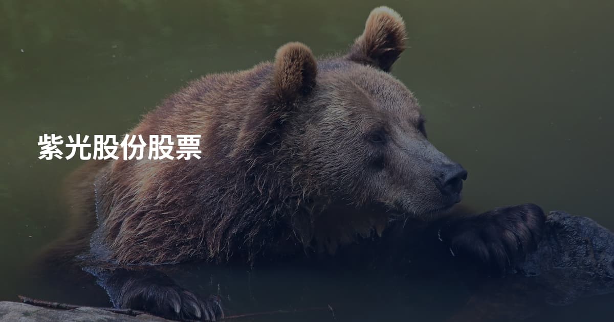 紫光股份股票