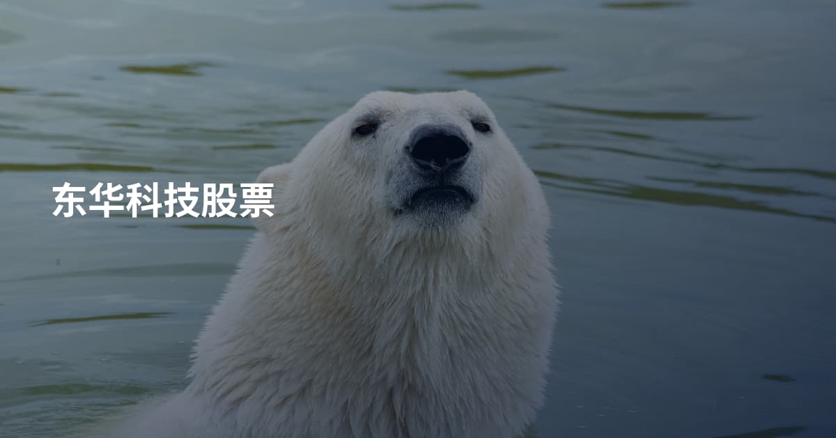 东华科技股票
