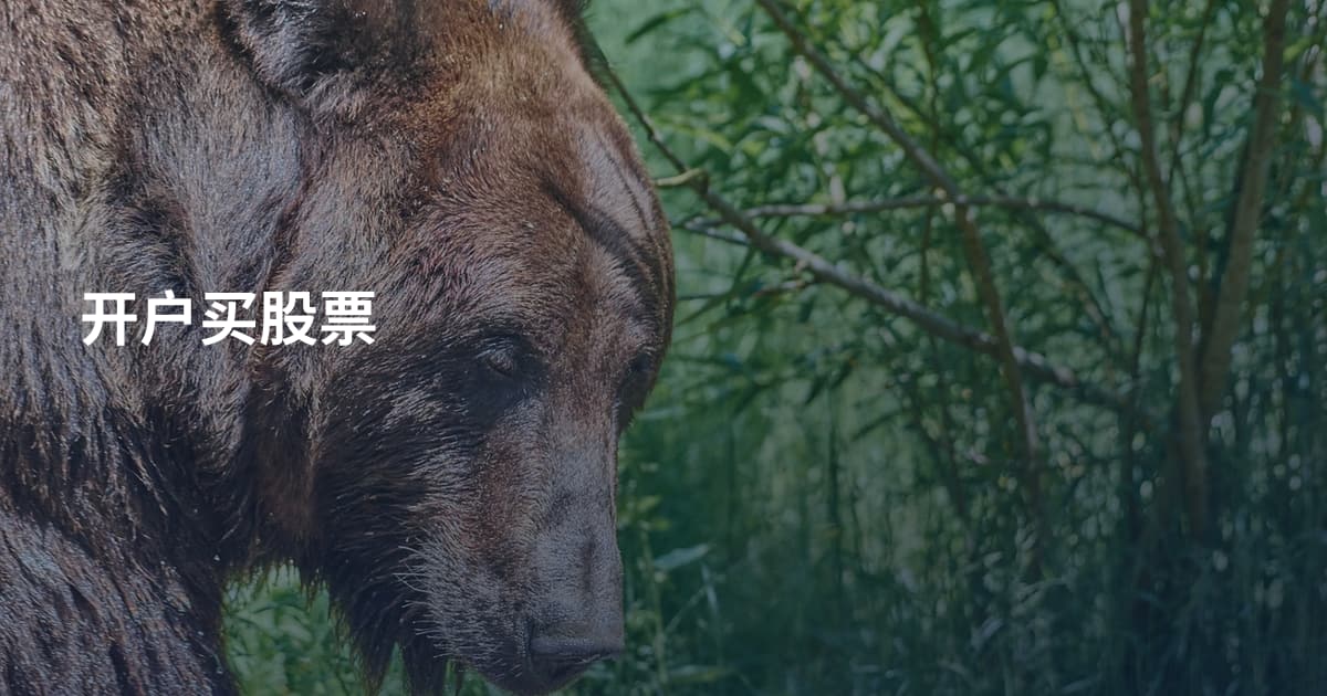 开户买股票