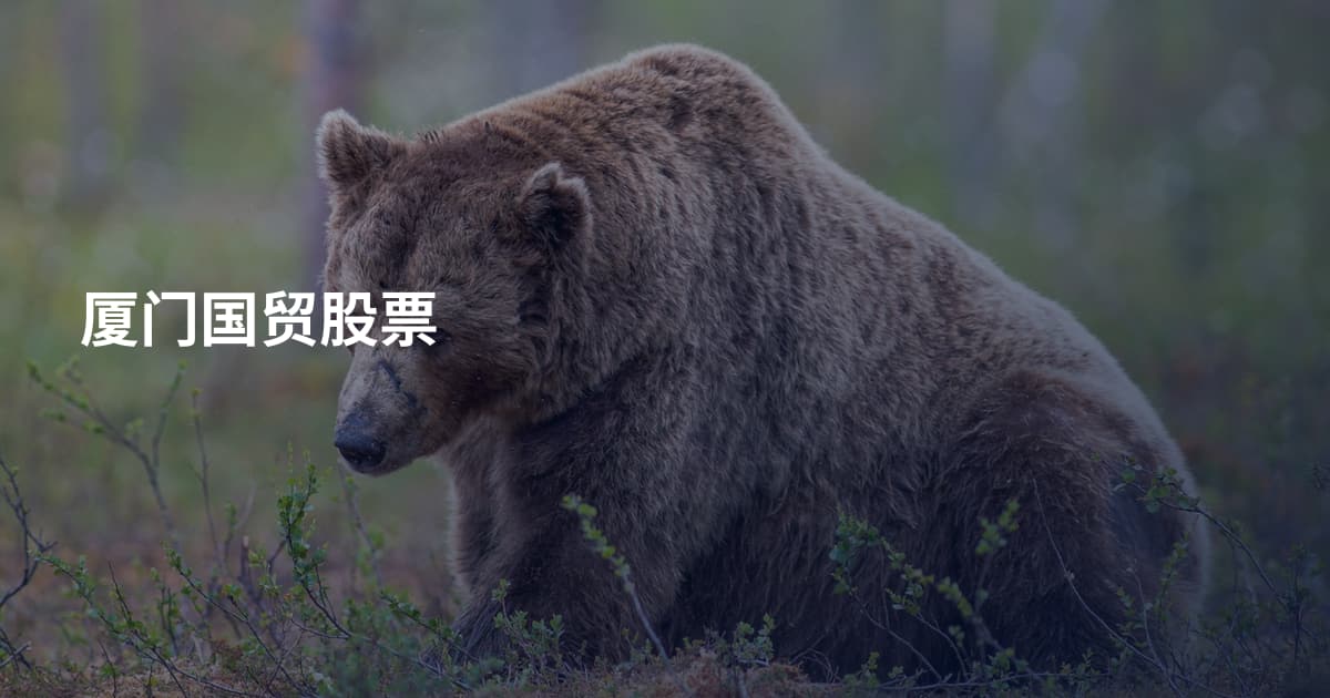 厦门国贸股票
