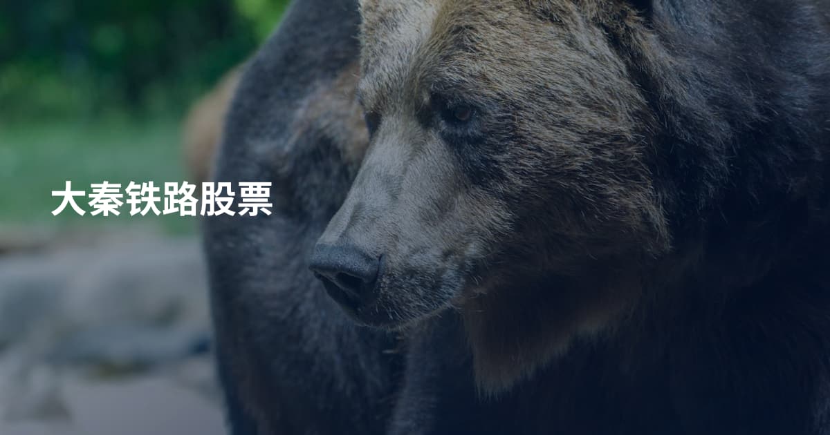 大秦铁路股票