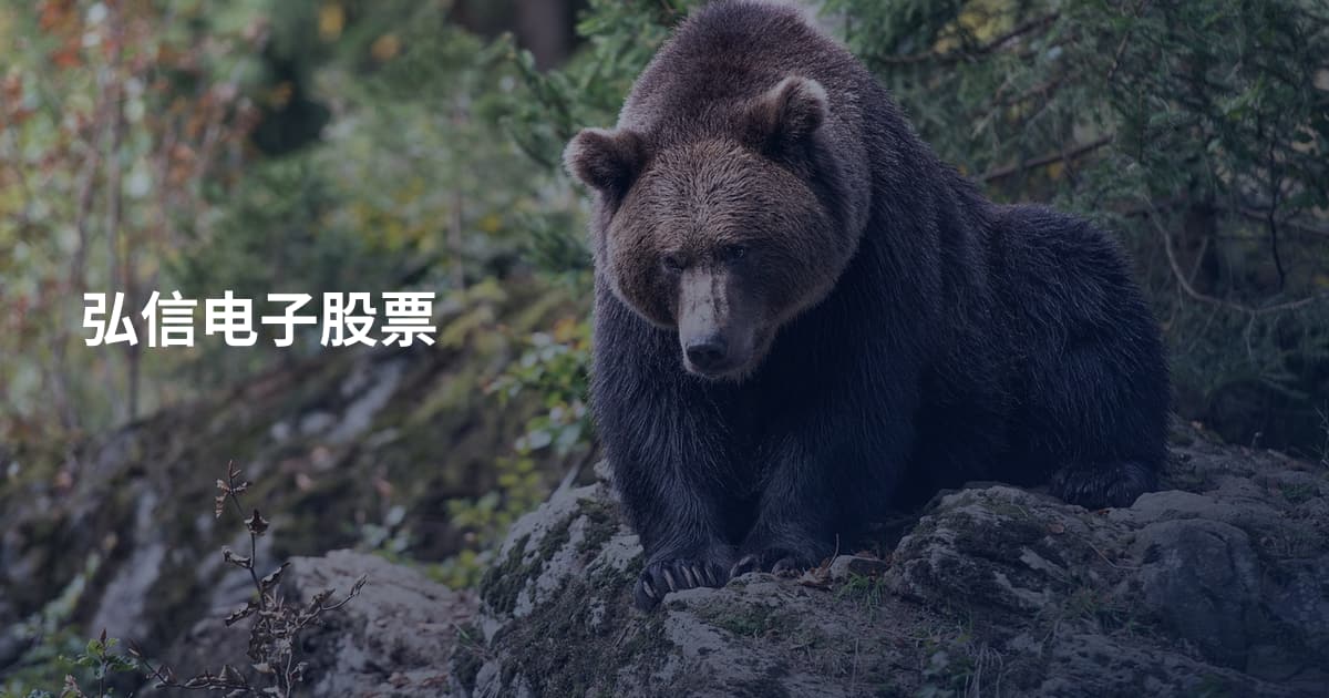 弘信电子股票