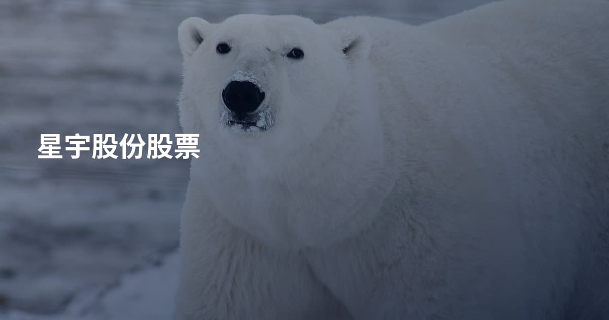 星宇股份股票