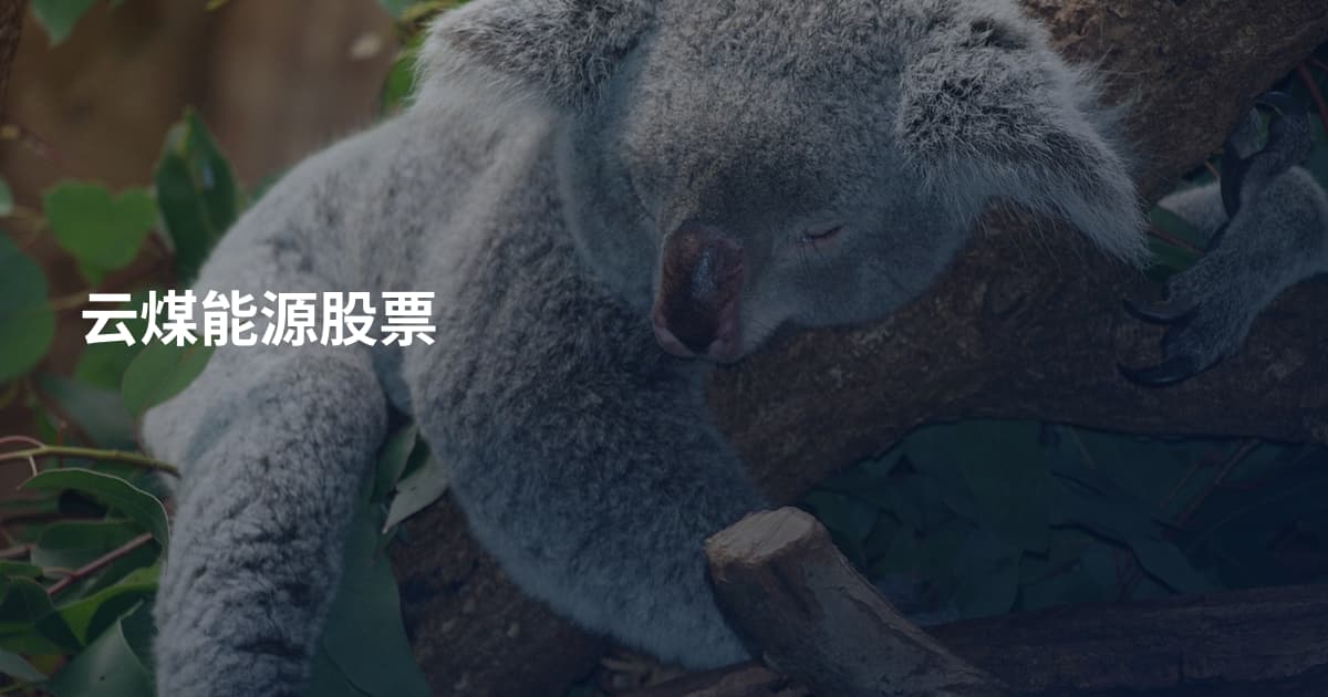 云煤能源股票