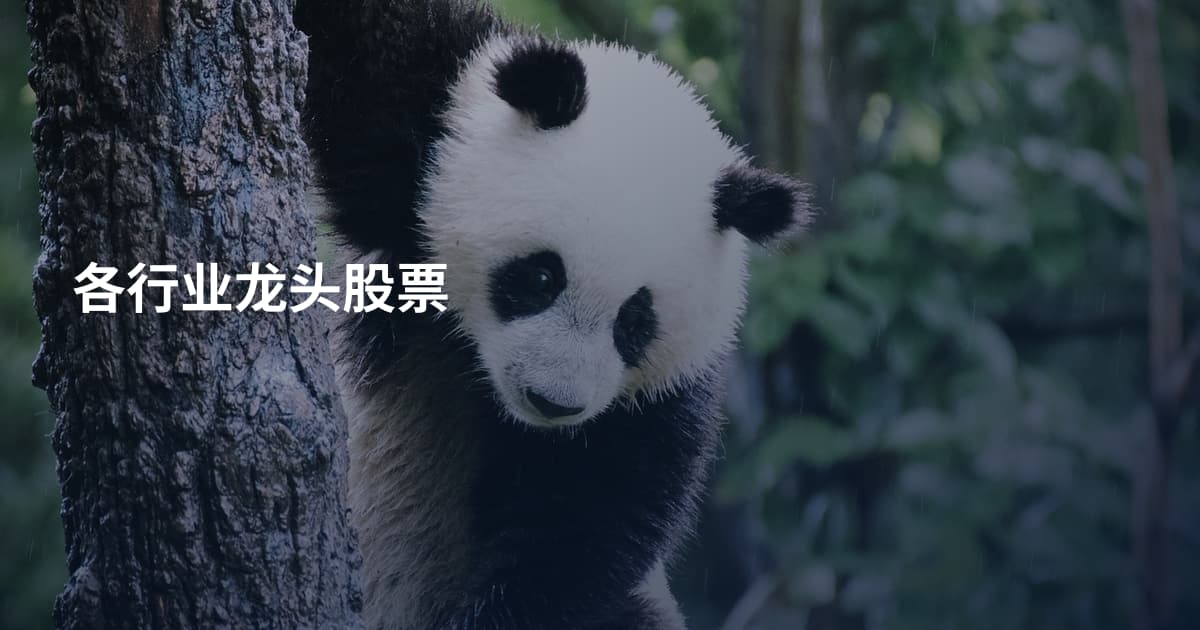 各行业龙头股票