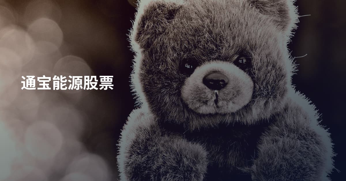 通宝能源股票