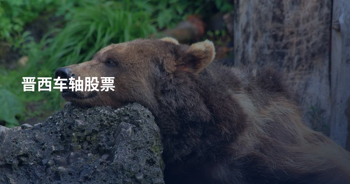 晋西车轴股票