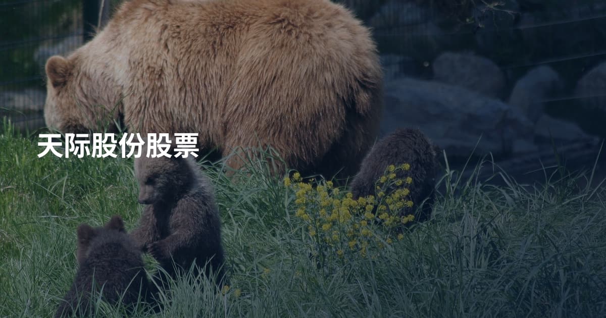 天际股份股票