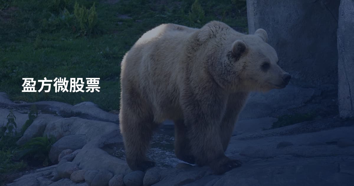 盈方微股票