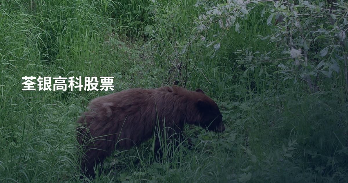 荃银高科股票