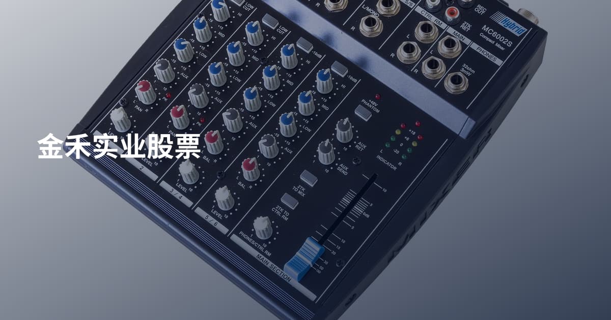 金禾实业股票