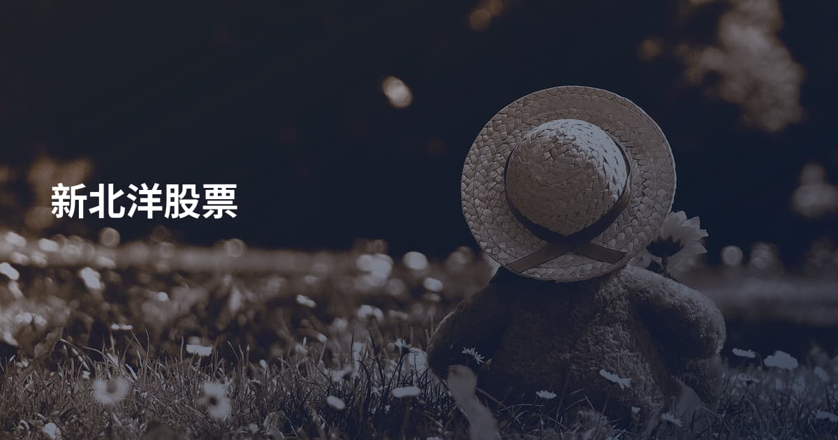新北洋股票