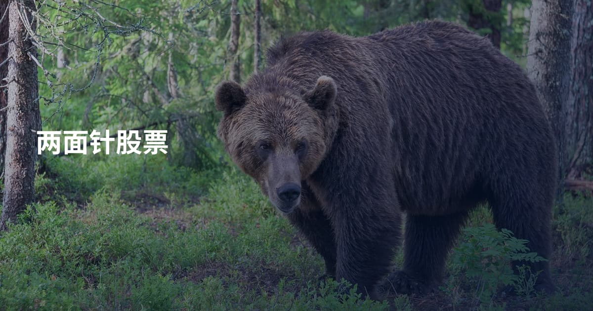 两面针股票