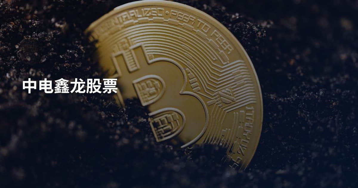 中电鑫龙股票