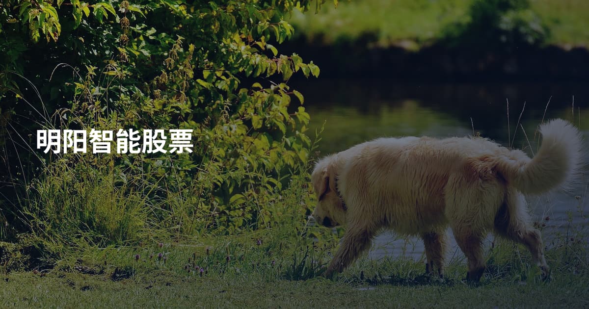 明阳智能股票