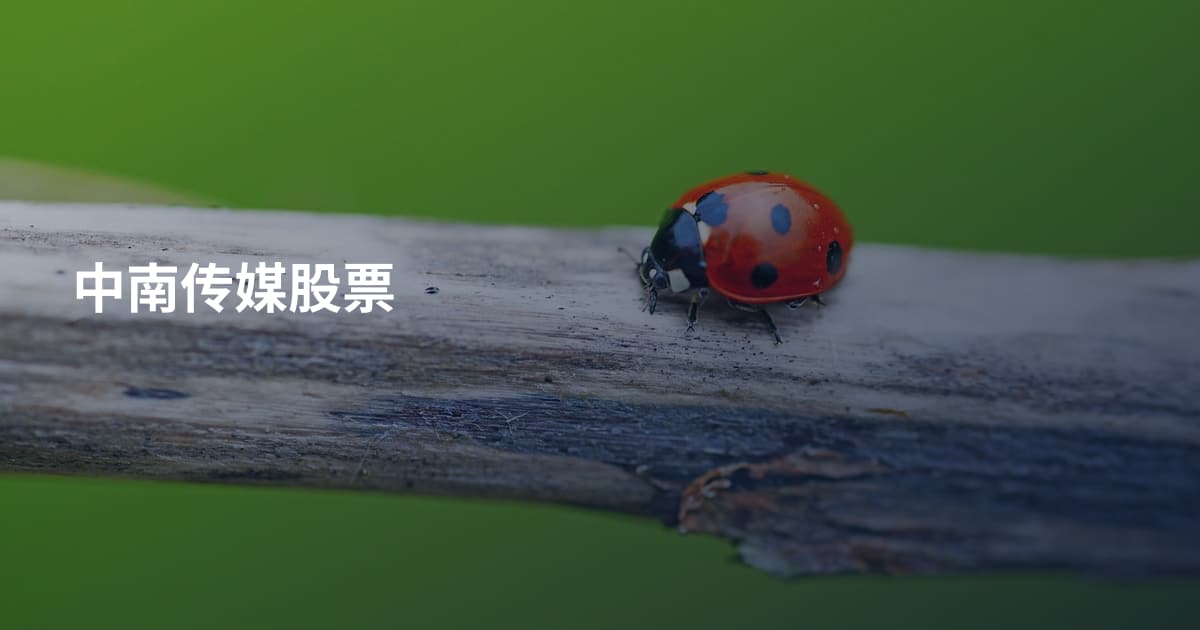 中南传媒股票