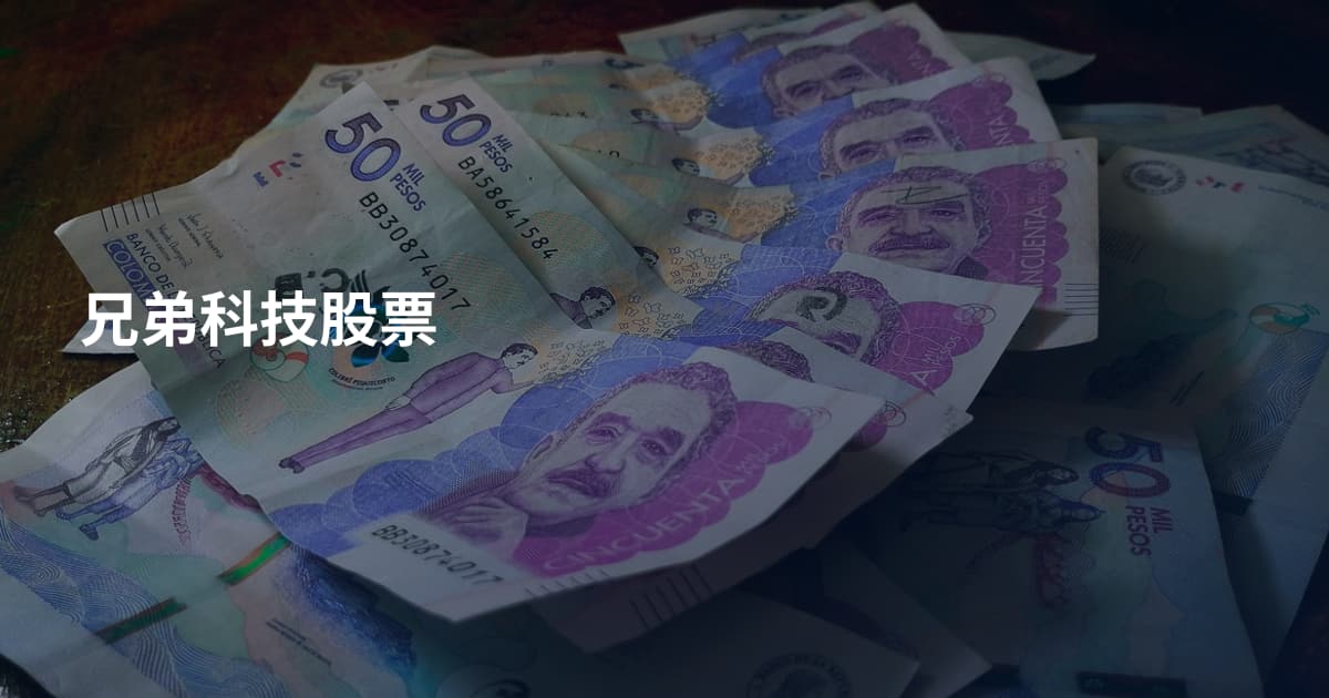 兄弟科技股票