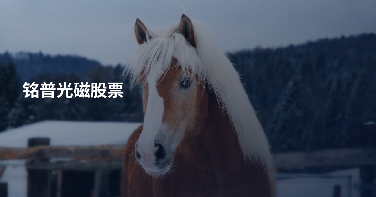 铭普光磁股票
