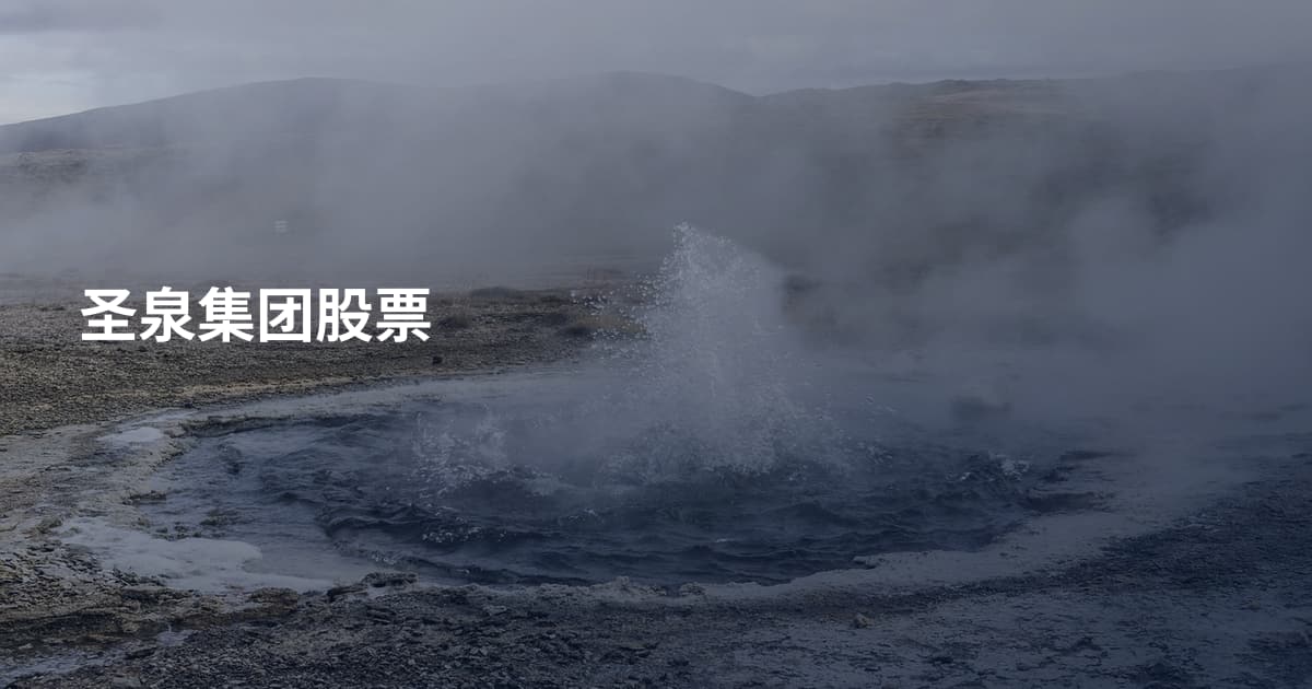 圣泉集团股票